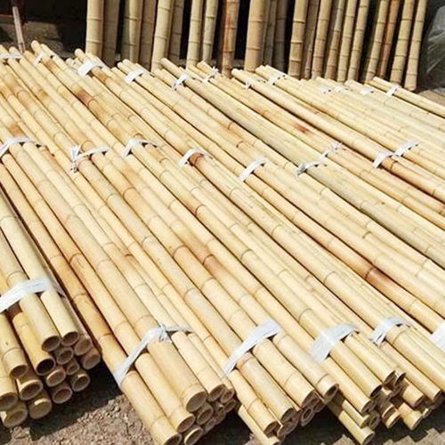 TRÚC SƠ CHẾ CHỐNG MỐI MỌT 4M (ĐƯỜNG KÍNH 4-5-6 CM)